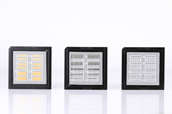 970nm 2W CW Chip TE Die Laser Diode